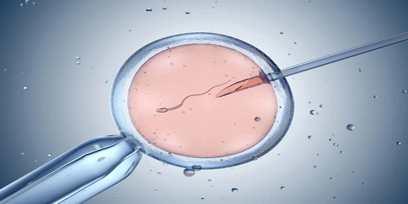 ivf-khi-bi-covid-19